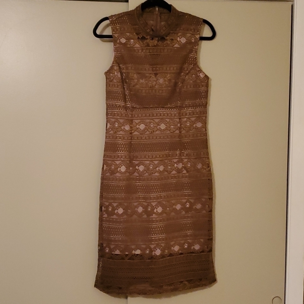 𝅺ENFOCUS Studio Moss Lace Dress NWT Size 10